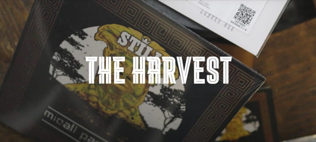 Micall Parknsun feat. Naughtz – The Harvest